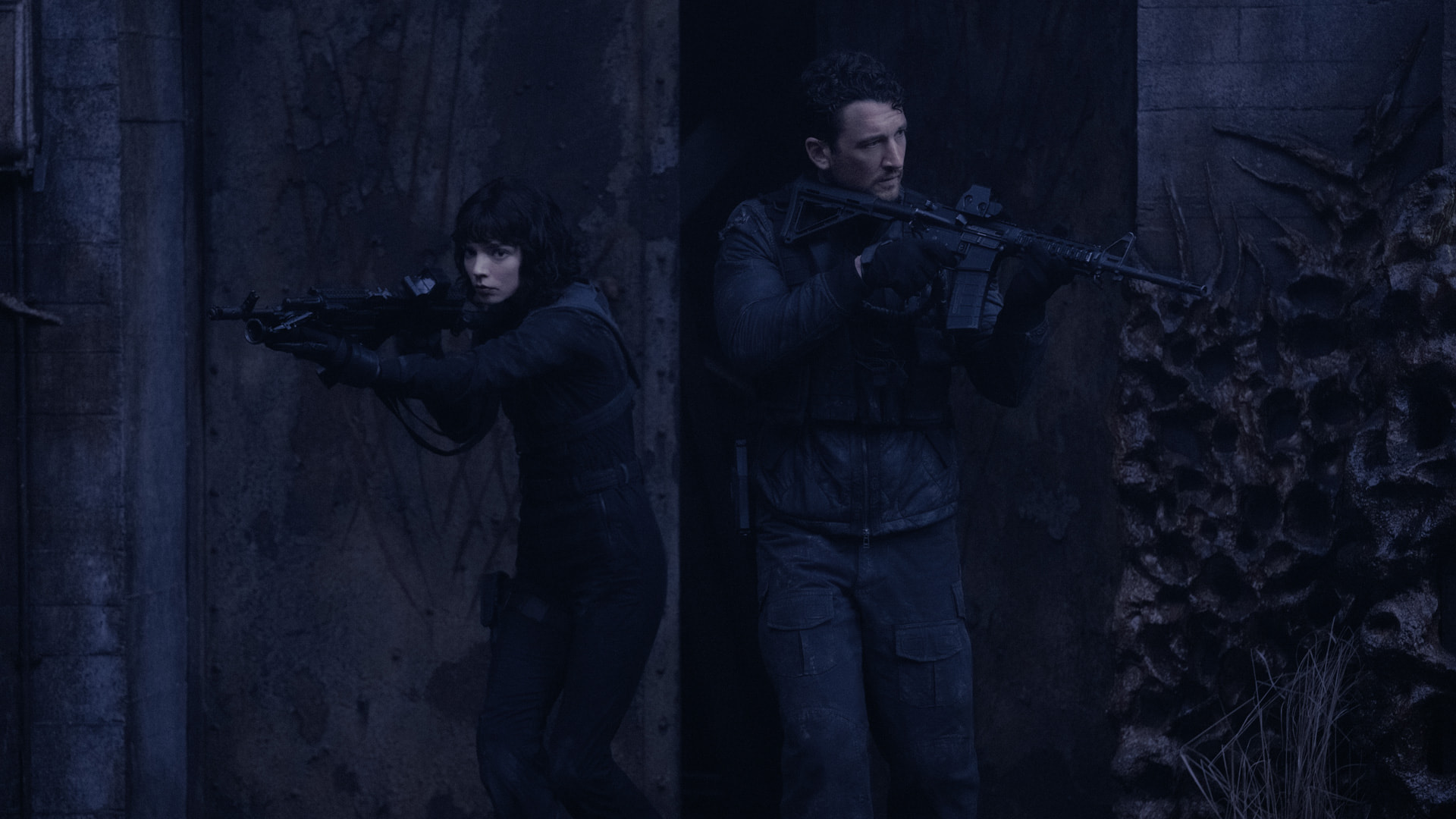 video-section-banner-image