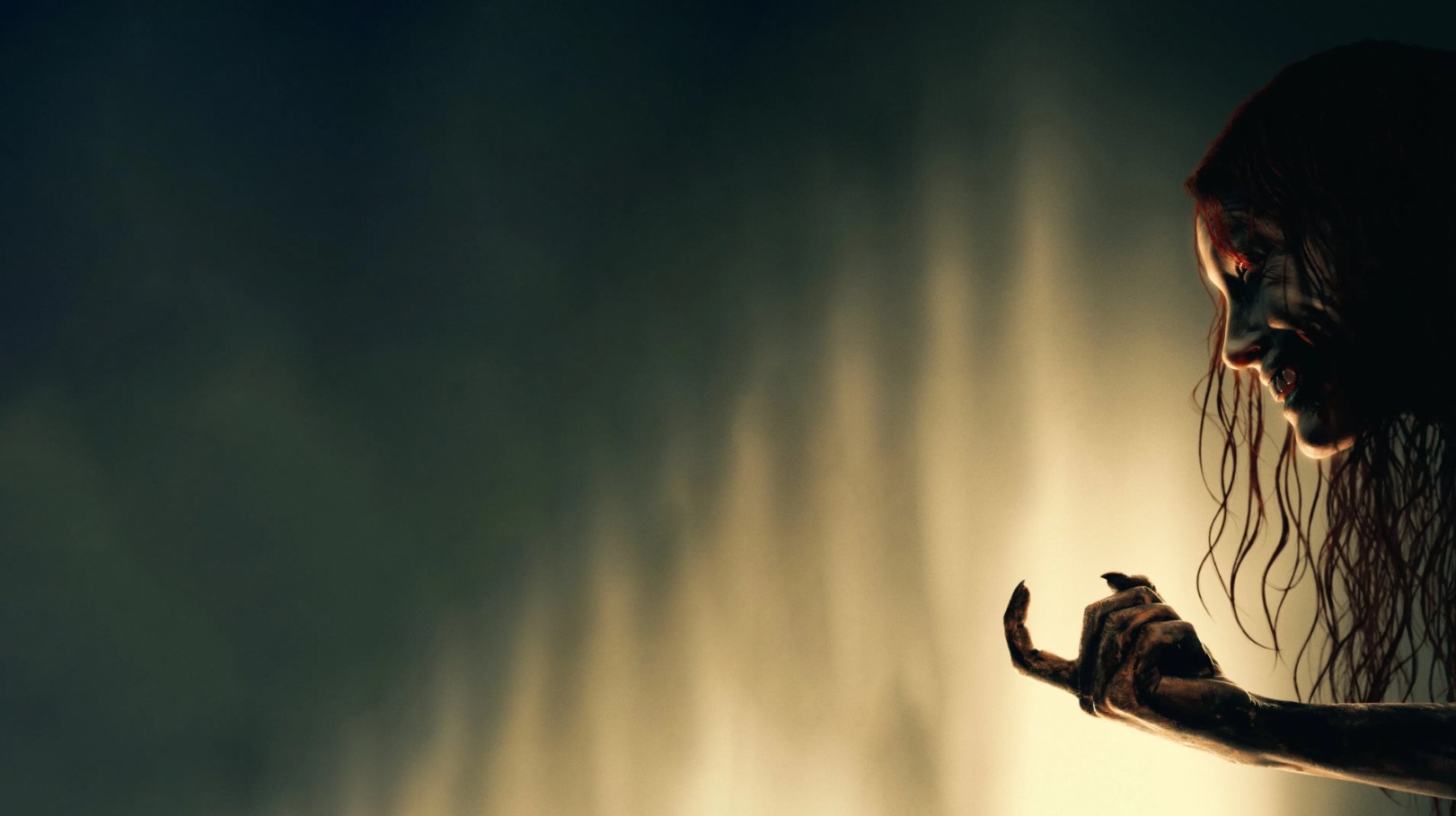 video-section-banner-image