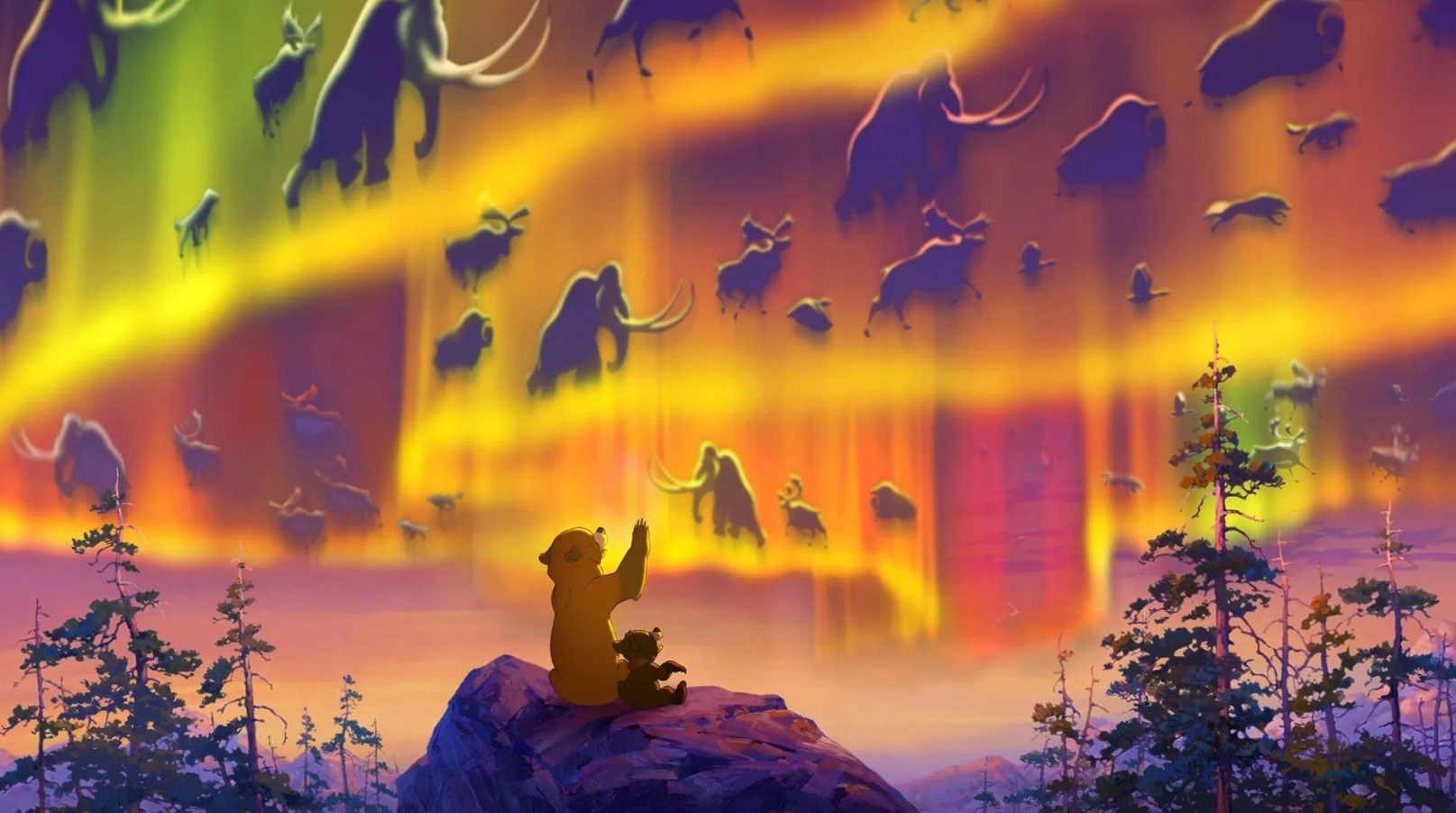 video-section-banner-image